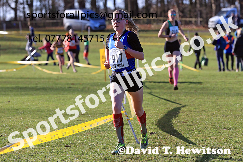 Junior Womens 2025 Northern Cross Country Champs, Tatton Park, Knutsford, Cheshire. Photo: David T. Hewitson/Sports for All Pics